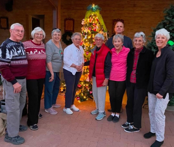 December 2024: Our tree at the Festival of Trees