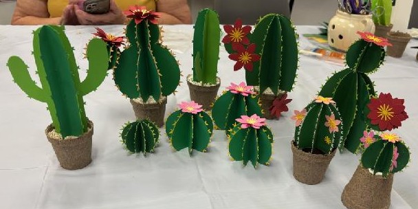 June 2026: Cactus Garden